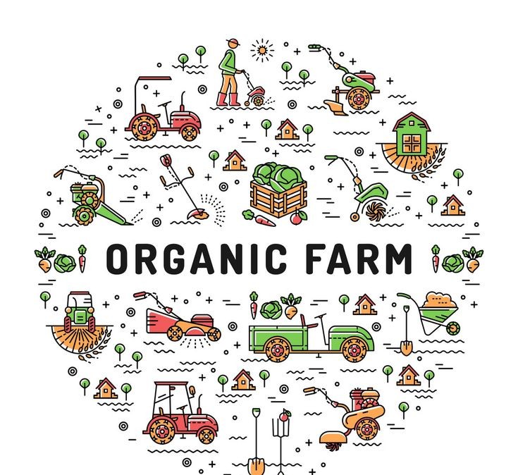  Organic Farming Blooms in Nepal, Offers Hope and Higher Profits for Family Farmers